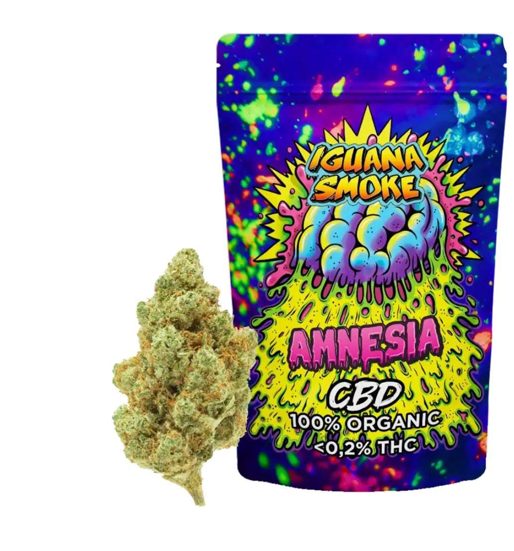 Amnesia CBD