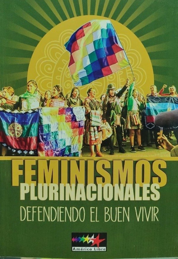 Feminismos plurinacionales