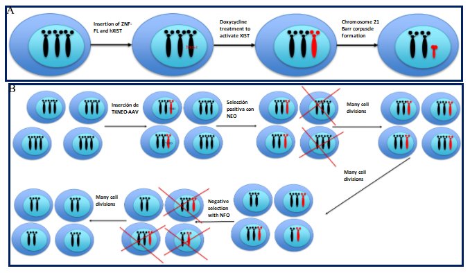 View of Management of genetic diseases: Present and future