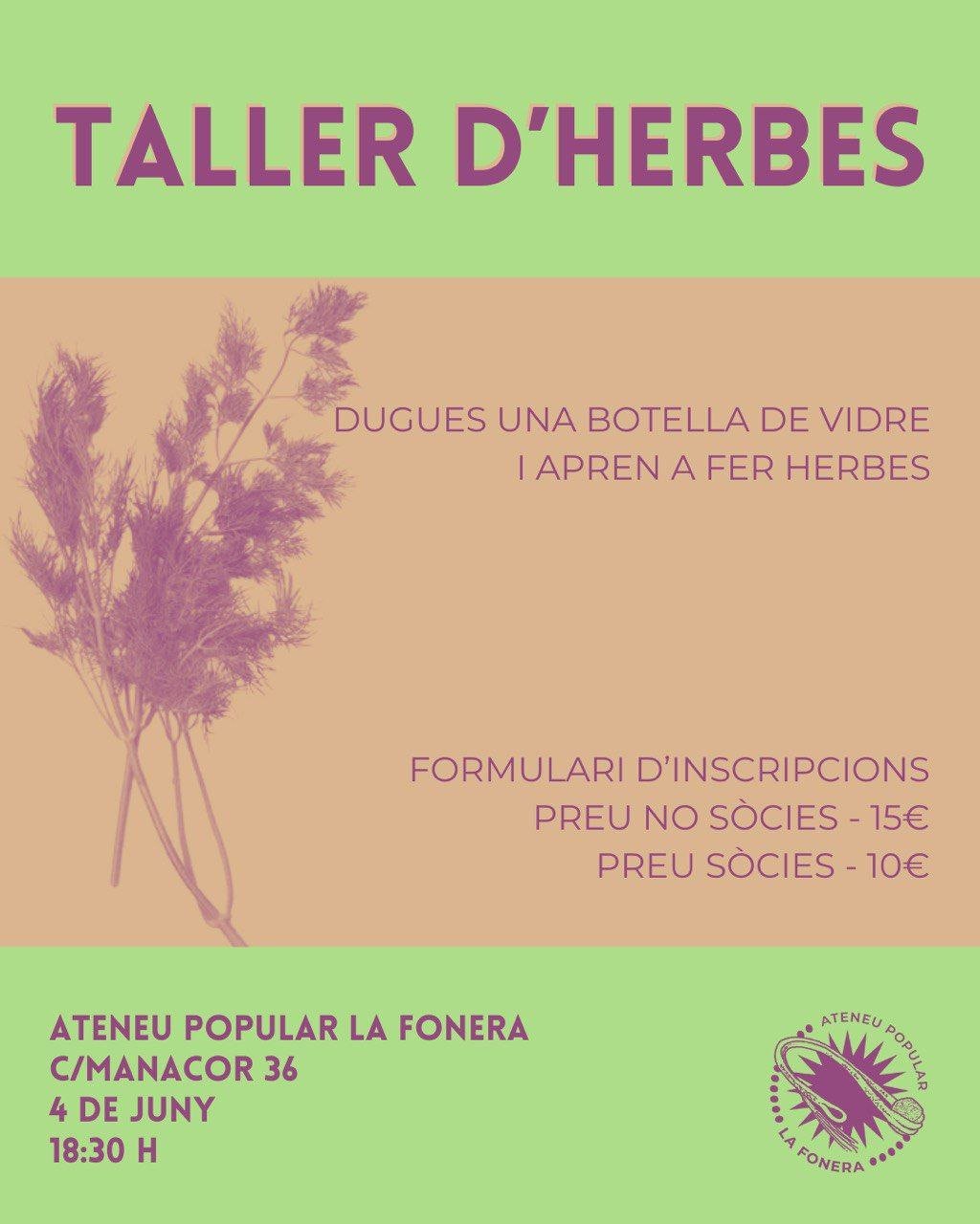 Taller d'herbes (04-06-25) Taller d'herbes (04-06-25)