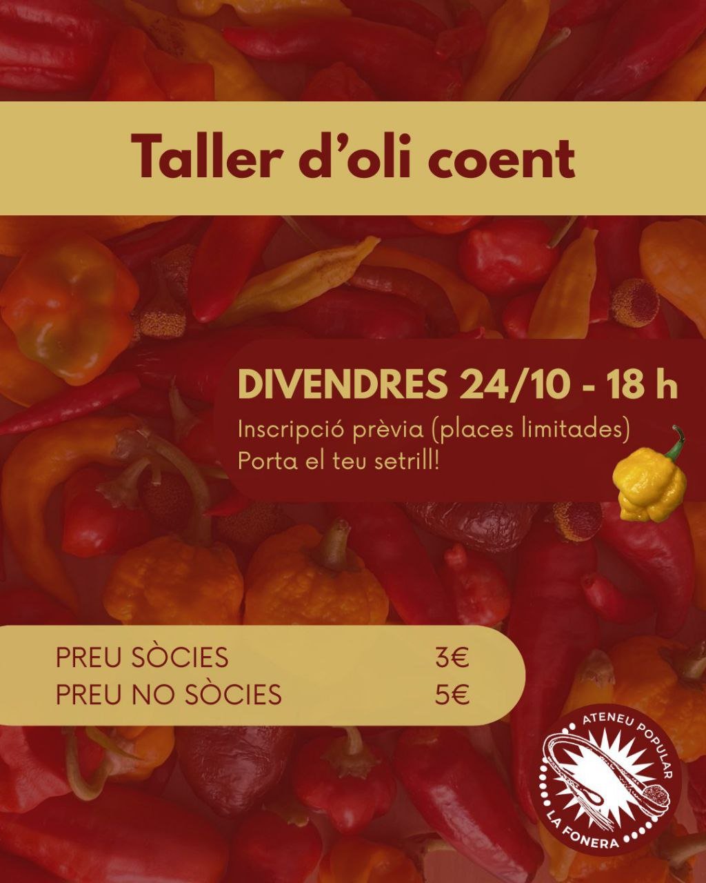 Taller d'oli coent (24-10-25) Taller d'oli coent (24-10-25)