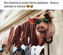 7oQNxqa.jpeg