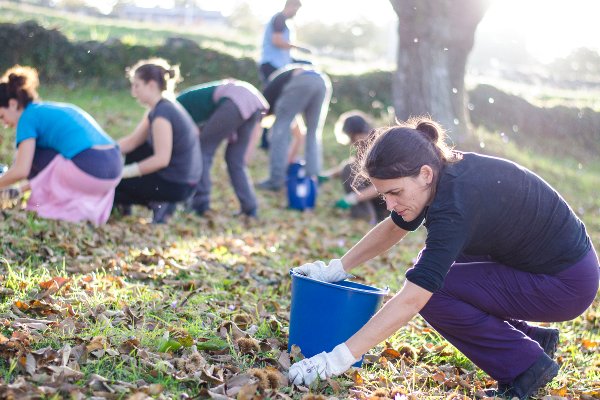 Un paseo entre ecofeminismo y monte comunal
