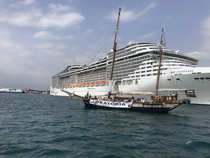 La Plataforma contra els Megacreuers celebra que altres ciutats europees posin l&iacute;mits a aquest tipus de turisme massiu