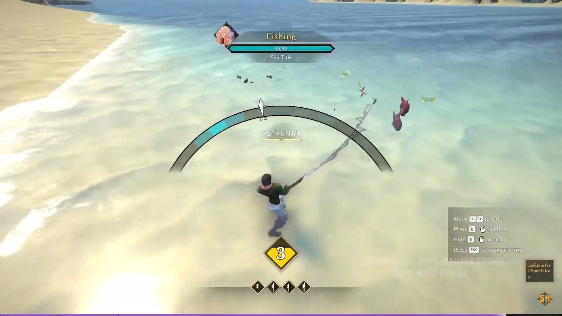 Pesca