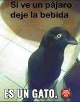 FGUarT8.jpeg