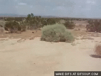 FzmSfU7.gif