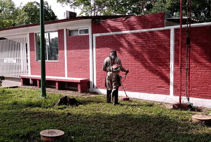 Servicios de Jardinería