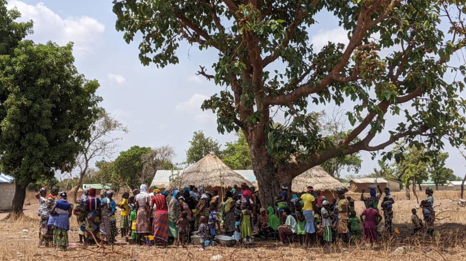 Kit de supervivencia ecofeminista