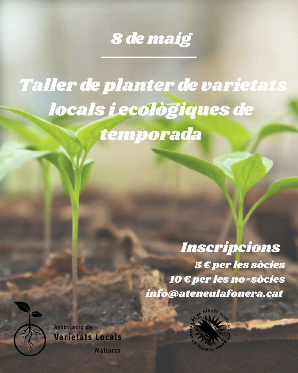 Taller de planter (08-05-25) Taller de planter (08-05-25)