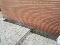 Ideas para patio lateral y trasero de un adosado. | Página 2