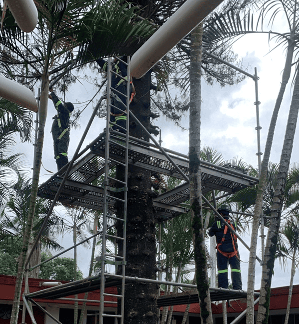 Limpieza Industrial, de vigas, estructuras y montenes