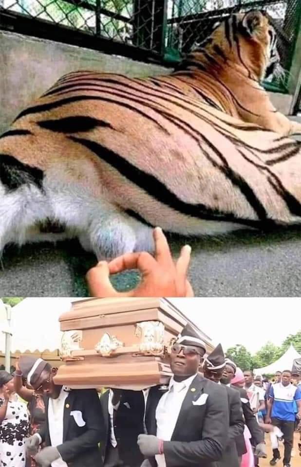 OMjgXzi.jpeg