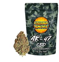 Cheese CBD