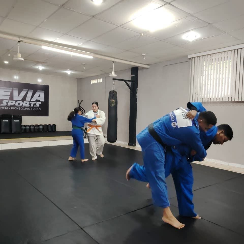Judo