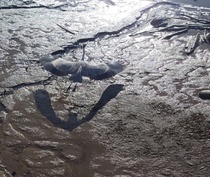 &iquest;La muerte de la pedagog&iacute;a?