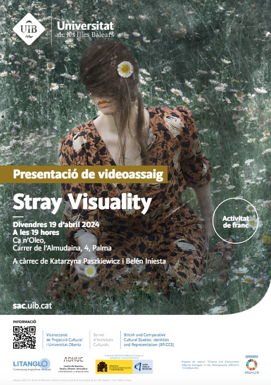 Stray Visuality (19-04-24)