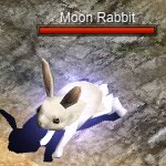 Rabbits - MU KRASUS