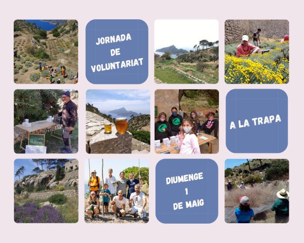 Voluntariat a la Trapa (01-05-22)