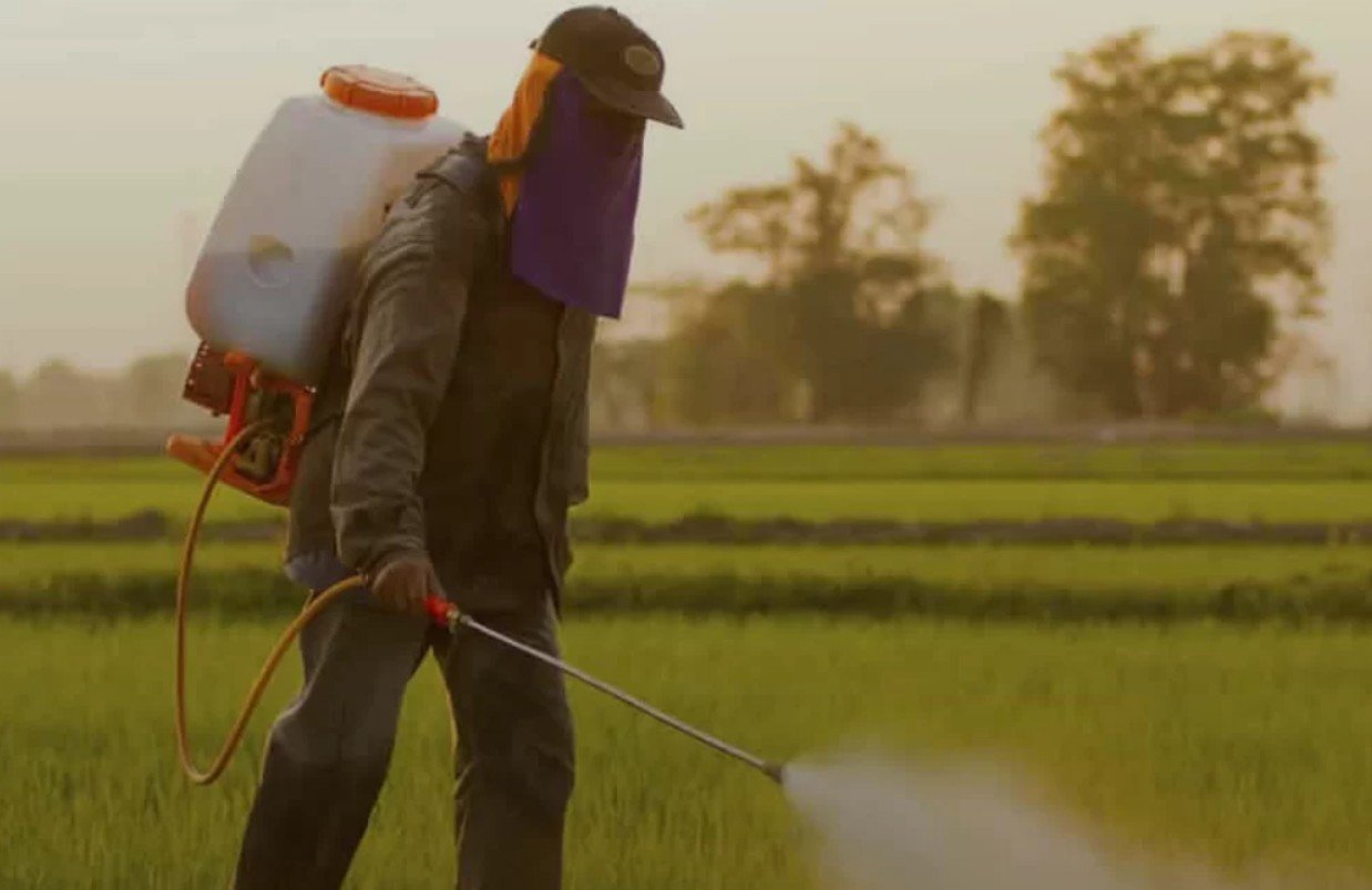 Abortos espont&aacute;neos, infertilidad y silencios: c&oacute;mo impactan los agrot&oacute;xicos en la salud reproductiva