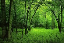 Panfleto para la DesCivilizaci&oacute;n