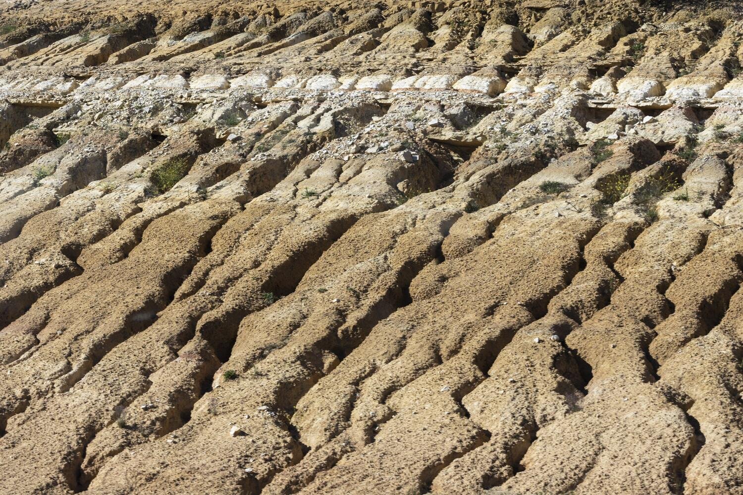 &iquest;Por qu&eacute; las pol&iacute;ticas clim&aacute;ticas no funcionan?
