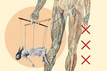 Anatom&iacute;a de un manipulador