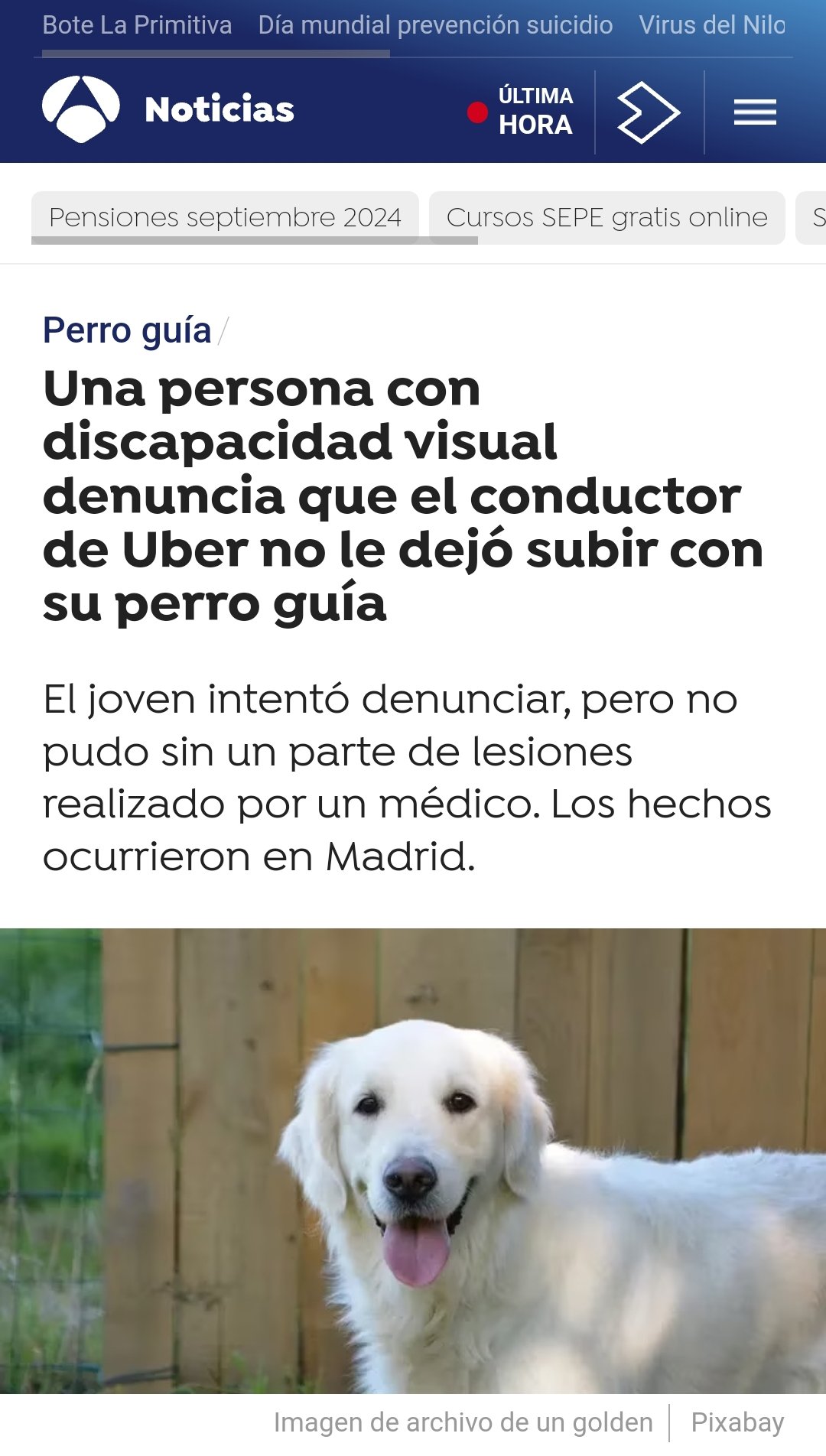 Los musulmanes odian a los perros