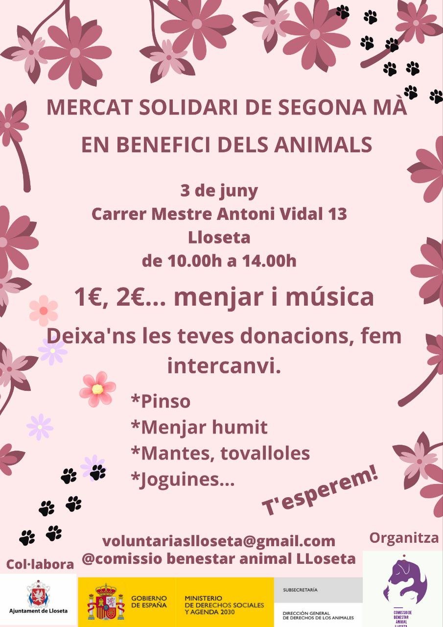 Mercat solidari (03-06-23)