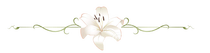 v3dtekw.png