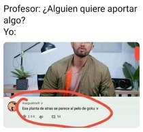 vY3slBi.jpeg