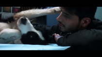 Cometa: Él, su perro y su mundo ( 2017 Comedia ) - Exploradores P2P