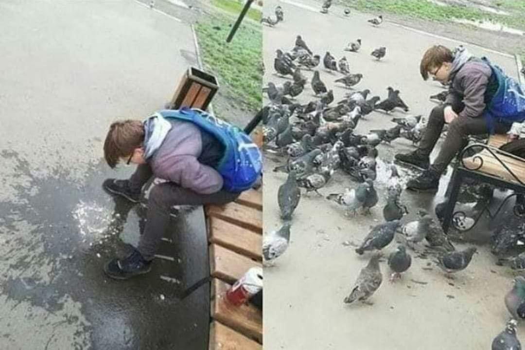 0HicZb5.jpeg
