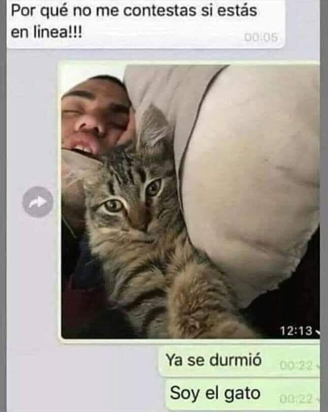 0r3DfbF.jpeg