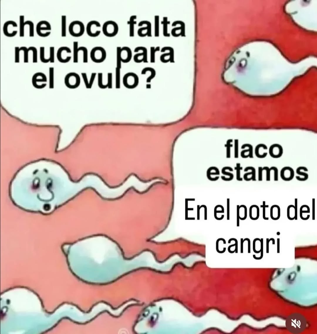 14VDlCp.jpeg