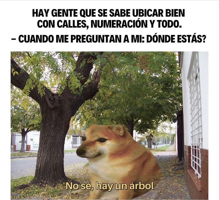 1dgZJ3L.jpeg