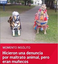 2NcXgyn.jpeg