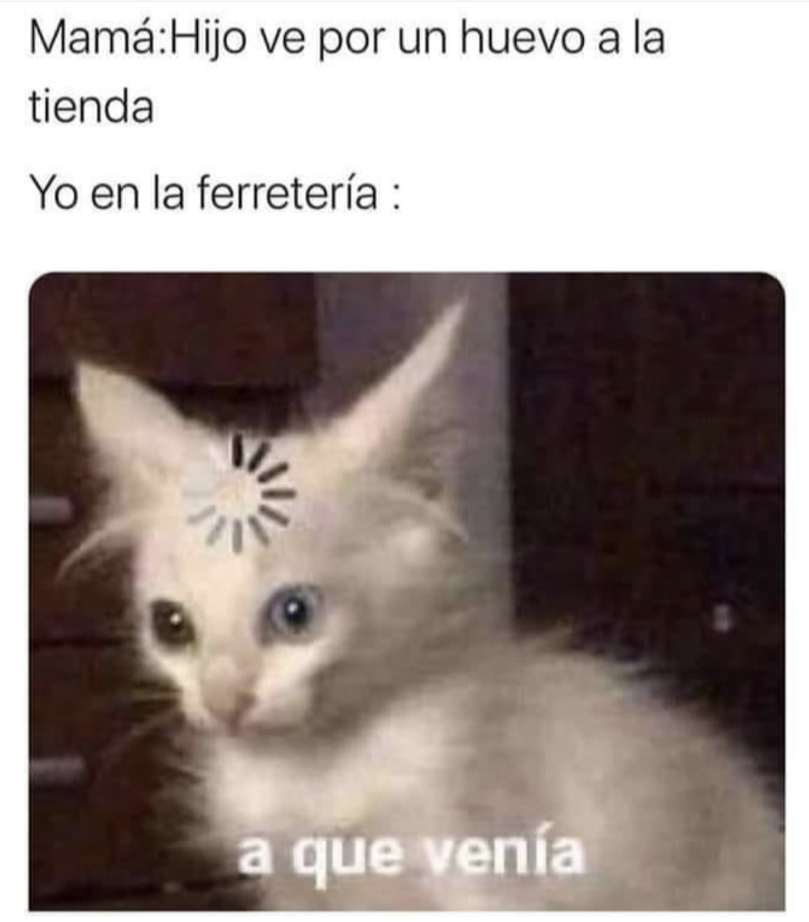 2P6eOo5.jpeg