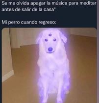 2rOG81T.jpeg
