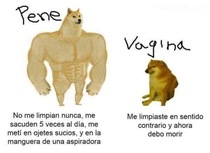 3mKQsGV.jpeg