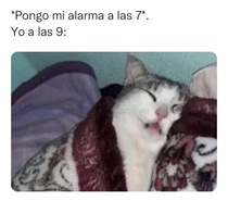 3qIUDPr.jpeg