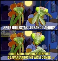 3s5u0KQ.jpeg