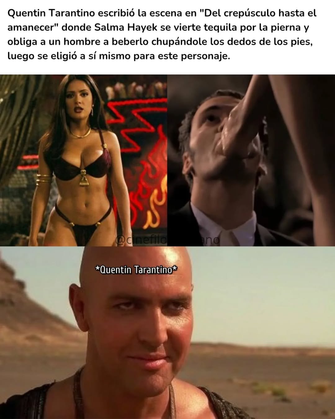 3zWdFT5.jpeg