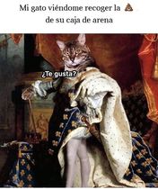 4uOtXbP.jpeg