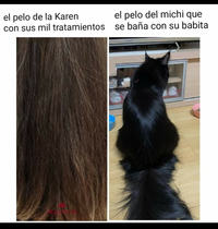 5y43nE7.jpeg