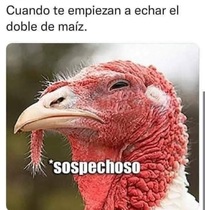 6gTSOxH.jpeg
