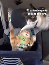 7w6pgUk.jpeg