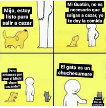 8FY3RZw.jpeg