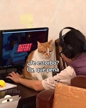 8Xc7CYU.jpeg