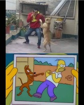 ANUVOdg.jpeg